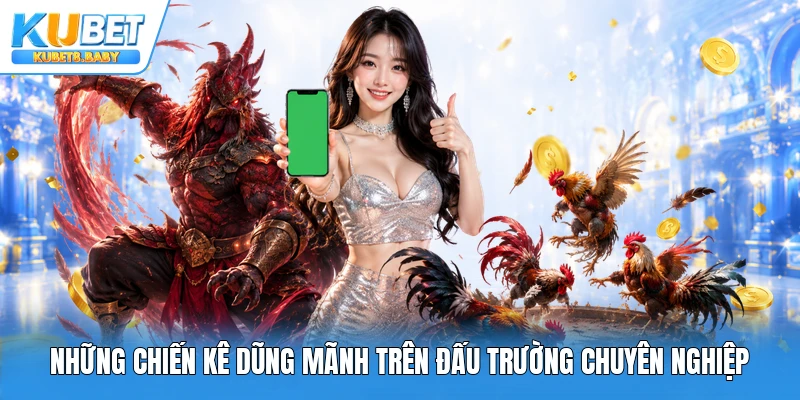 Những chiến kê dũng mãnh trên đấu trường chuyên nghiệp
